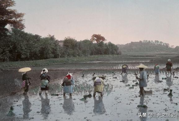 日本为什么把巴西当成第二故乡,巴西为什么是日本人的第二故乡