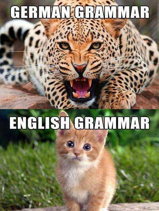 怎么学习德语的最快方法,每天5分钟轻松学德语