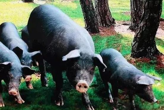 探访中小型公司韩国,探访韩国加工厂