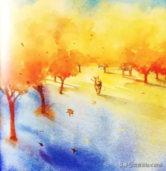 绘本故事有声小熊进城,绘本故事大城市里的小象