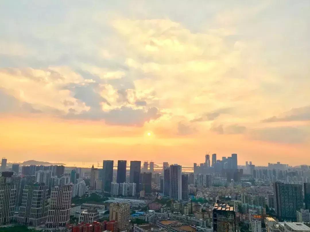 “烟花指数”闪亮深圳湾，惊现一片高质量优质资产