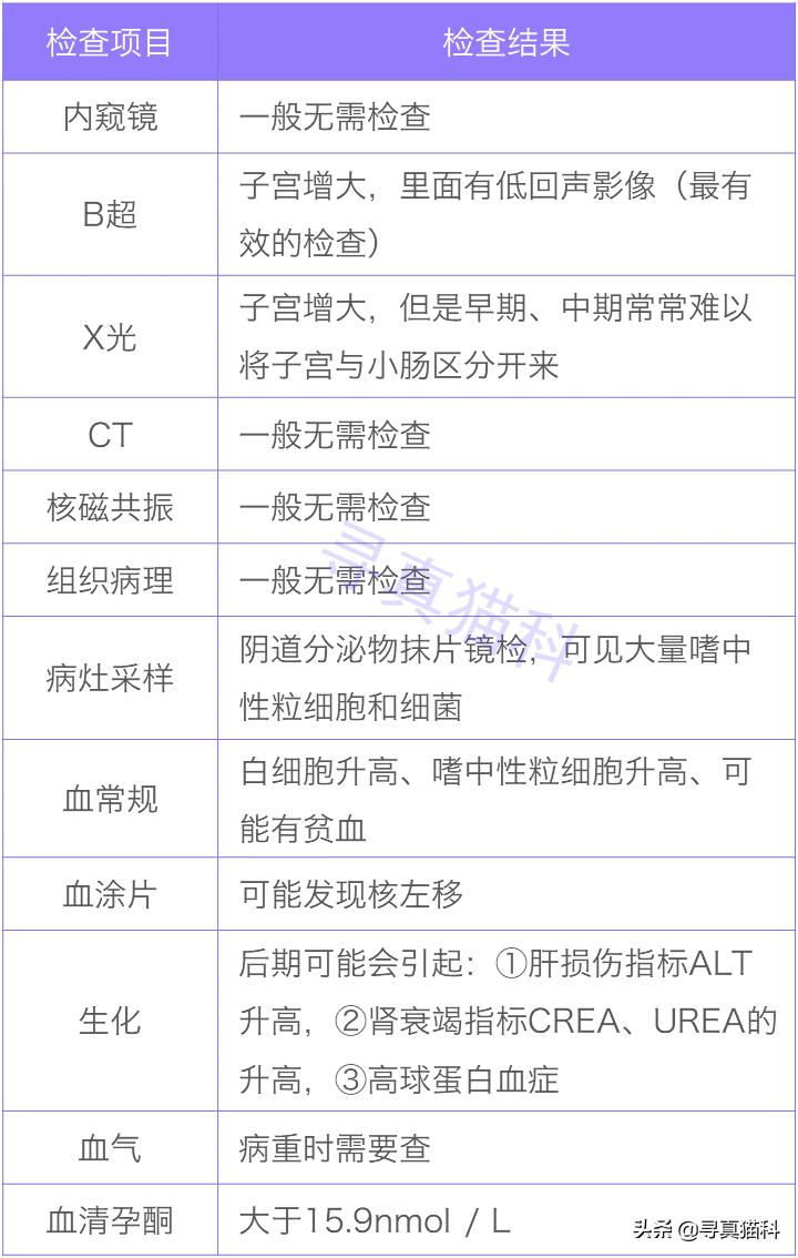 猫子宫蓄脓还能生崽,猫的子宫蓄脓