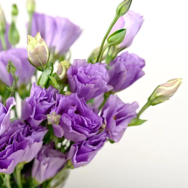 花艺必备|盘点那些超受欢迎的日本进口花材