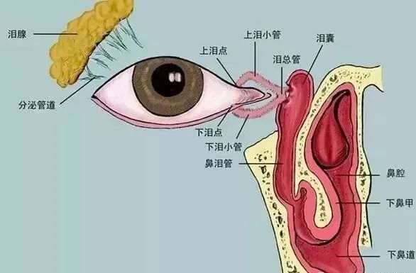 莫名流泪的预兆,莫名流泪的心理原因