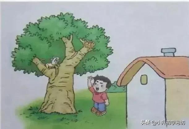 寒假专项训练一二三年级看图写话,开学整理书包看图写话