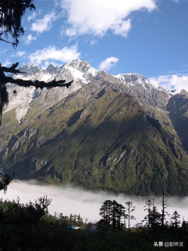 财税问答视频全集,财税问题最新解答大全