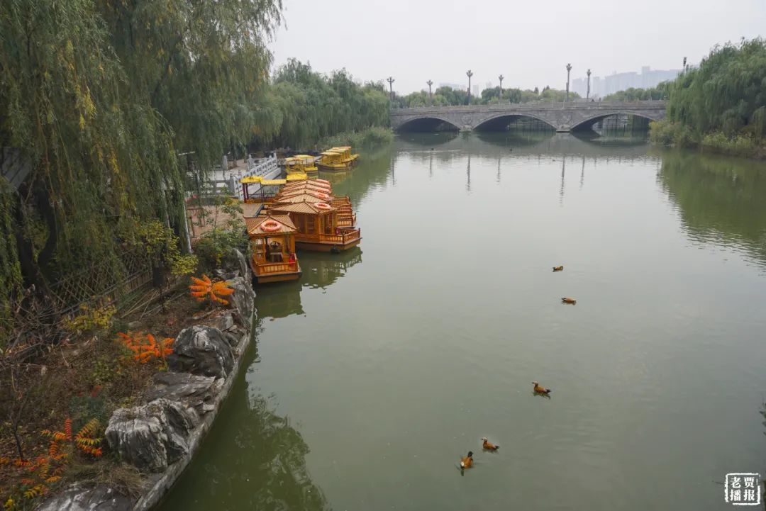 洛阳一大型网红公园免费开放,洛阳湿地公园网红打卡地