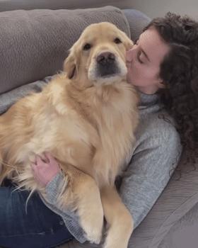 养什么狗好不爱叫,养什么狗不拆家不生病