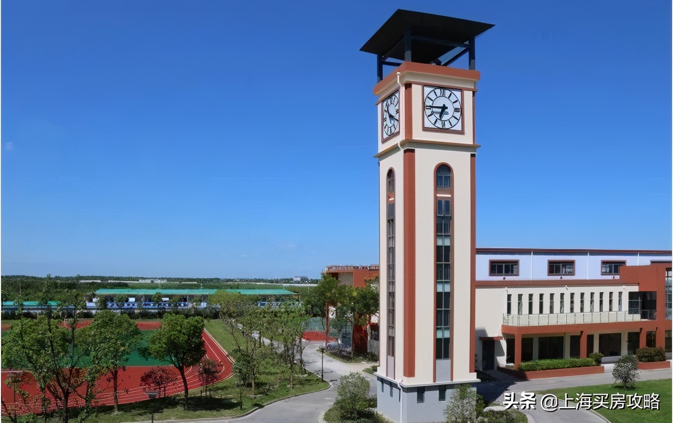 杨超越临港落户,锦鲤杨超越