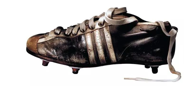 圣诞树是什么树,圣诞树在中国叫什么