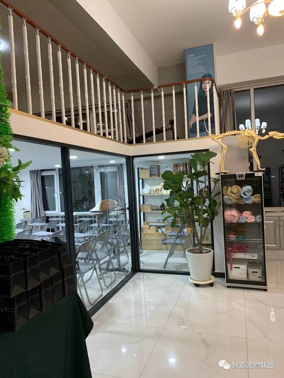 正规宠物培训学校价格多少,宠物培训学校北京哪家好