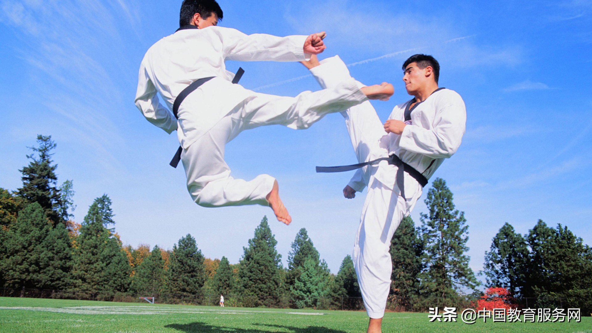 内八拳教学,八式基本功法