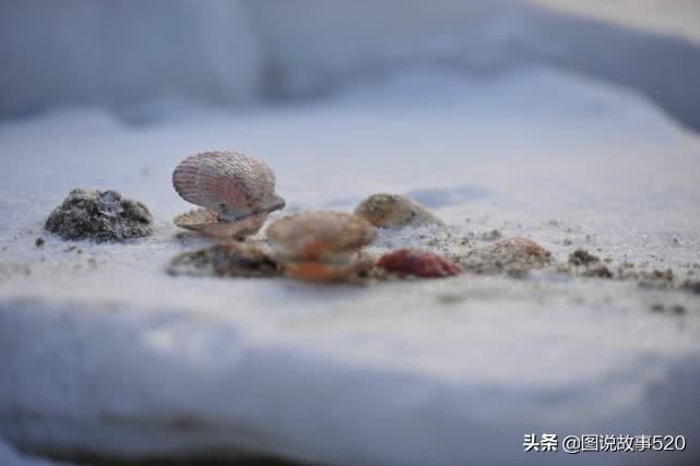 大海和沙漠之间的地方,大海和沙漠相接的地方