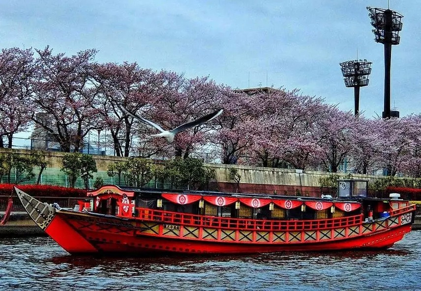 东京晴空塔民宿价格,东京晴空塔附近的性价比酒店
