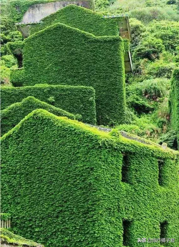 等一个人去旅行,等一个人去远方旅行