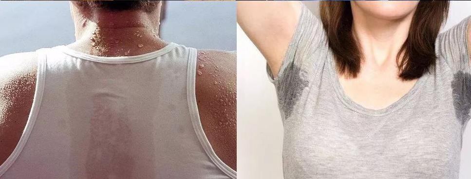 哪种布料做的t恤最凉快,t恤面料降温