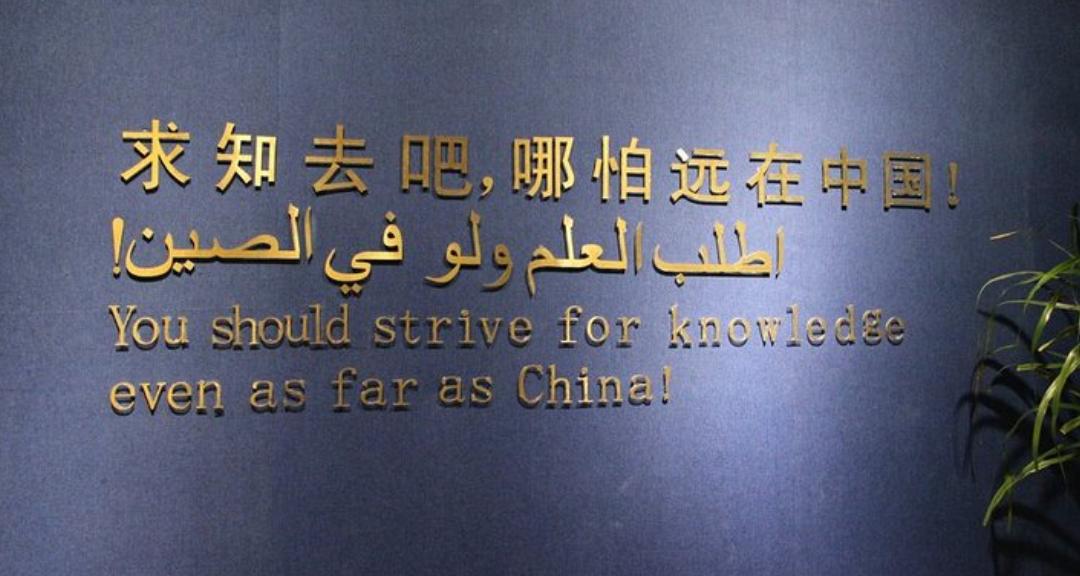 月入1.4万元：非洲90后导游工资翻同龄人4倍