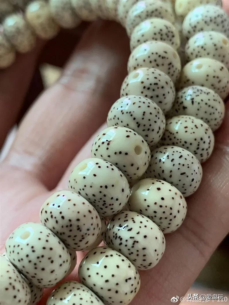 星月盘多久可开片,星月盘了几年都不开片