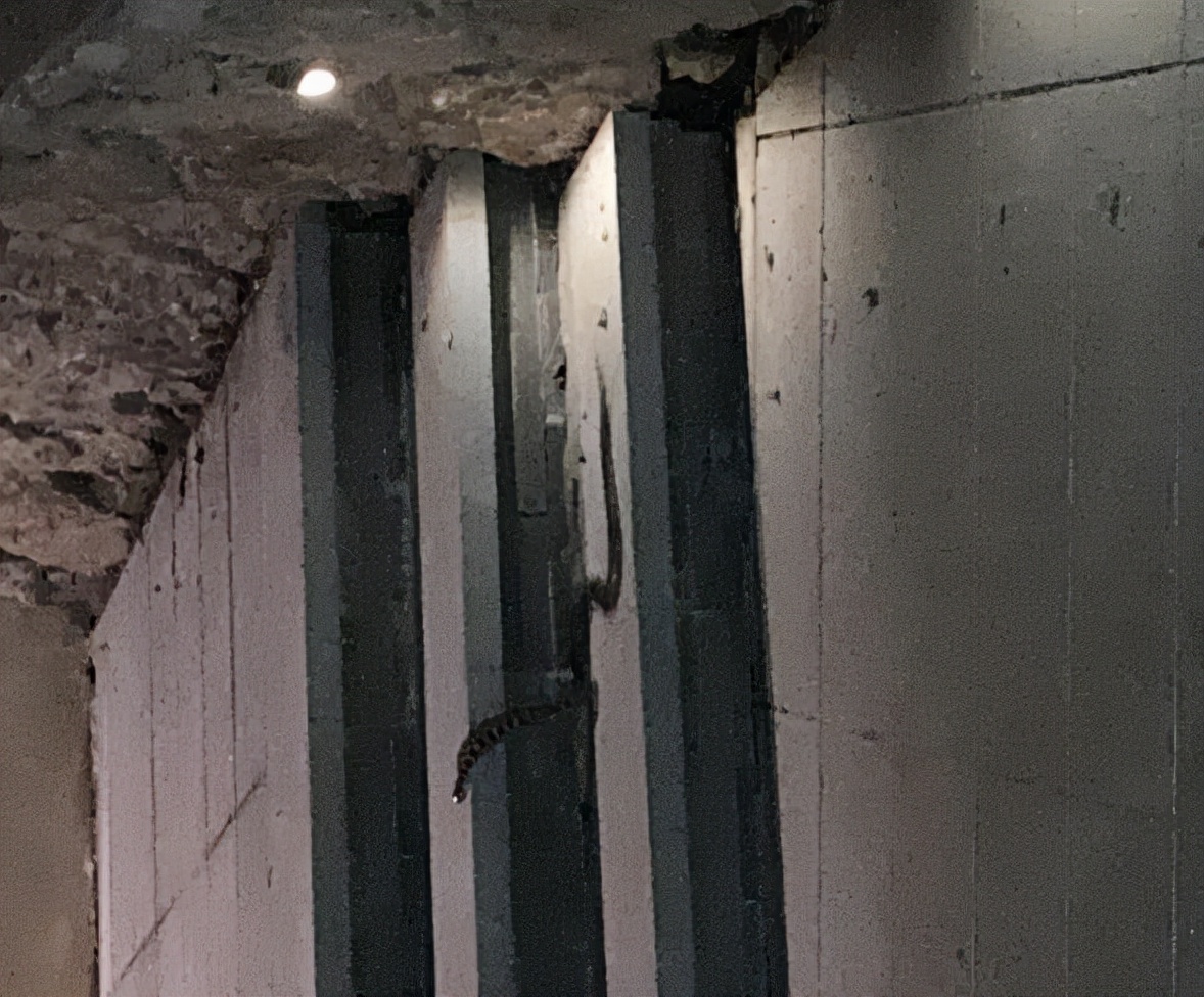 附近有蛇怎么驱赶最有效,如何防蛇驱蛇最有效