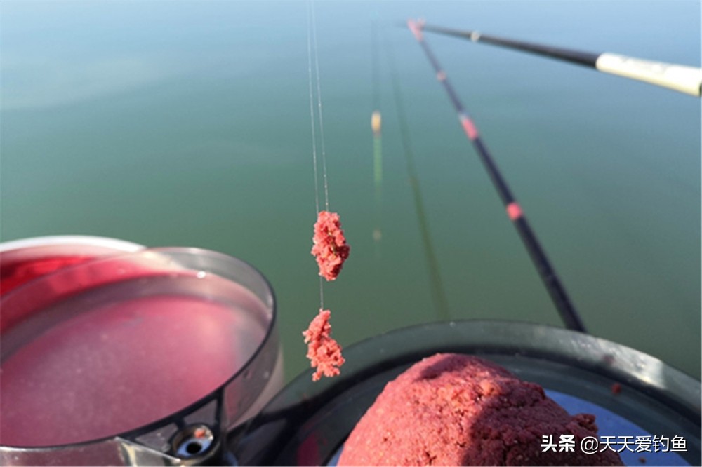 钓鱼拉饵与搓饵的使用方法,钓鱼饵料的拉饵和捏饵的方法