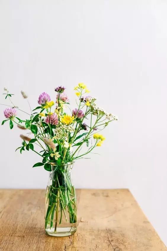 教你怎么学插花,小白零基础怎么学插花