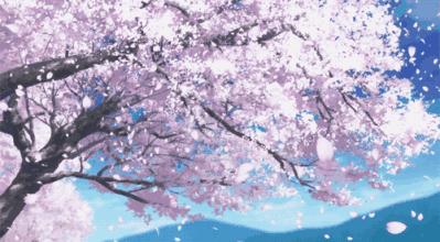 日本为什么那么喜欢樱花,日本为什么那么爱樱花