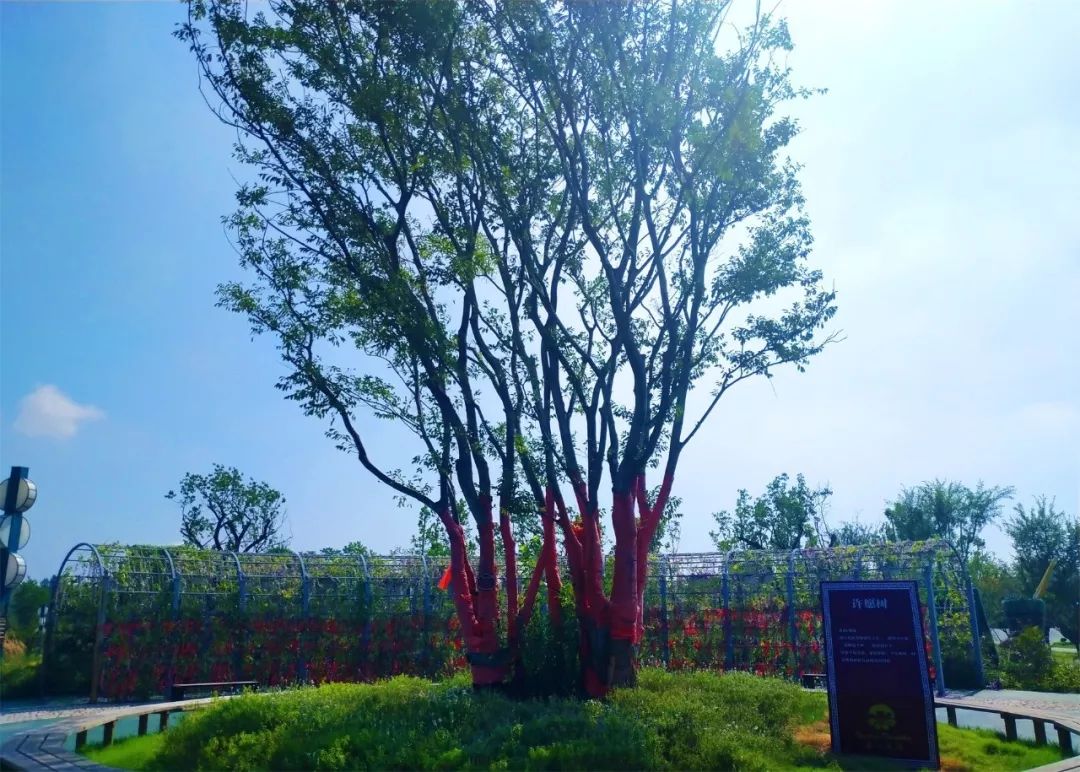 5.17遇见Ta在一起|这里有个不一样的脱单机会，速来~