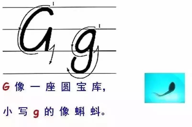 教英文字母书写技巧图文,英语字母书写规范及完美英文字帖