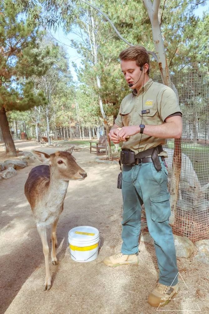 澳洲堪培拉景色,澳洲堪培拉动物园