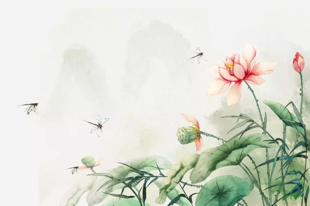 夏天的古诗词唯美,诗词里的夏天朗诵