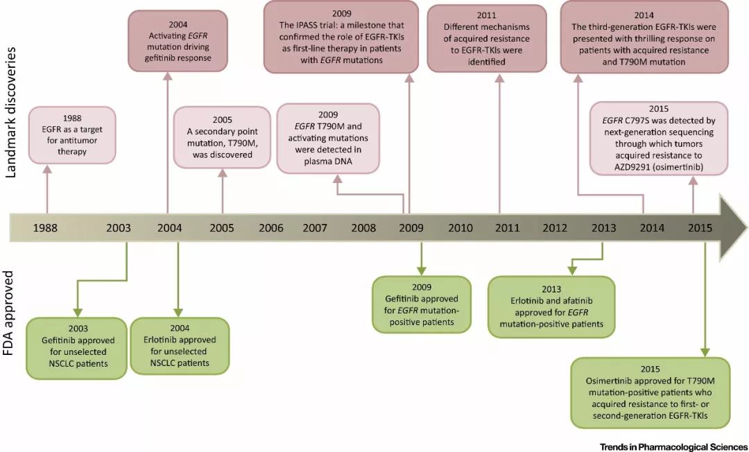 靶向*制剂抑**的英文名，你会了吗？
