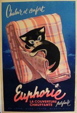 为什么古早广告会出现猫,为何古早广告中经常出现猫