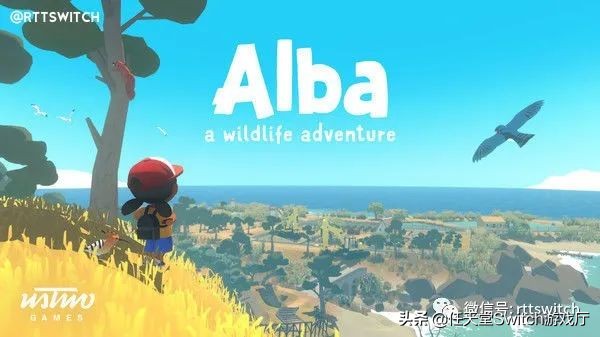 switch疯狂兔子奇遇派对如何登录,switch游戏疯狂兔子和马里奥派对