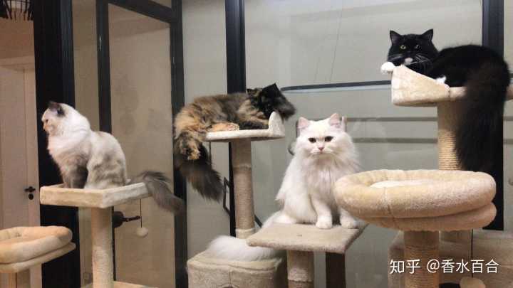 买了高层的人怎么样了,买了顶楼的房子后悔了吗