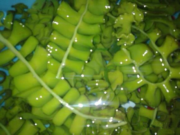 中国海鲜河鲜,市场河鲜海鲜种类大全