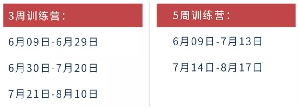 华人之光2019,华人之光视频