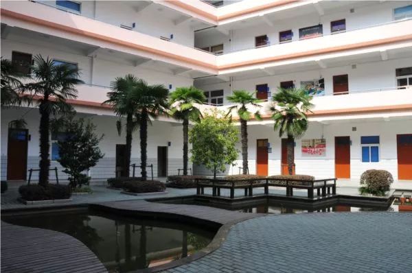 上海菜小的逆袭，最值得关注的10所公办小学！