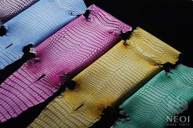 鳄鱼皮包包知识,鳄鱼怎么挑选