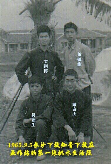 知青情结图片素材,60年代的知青情结