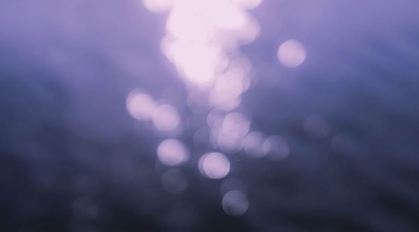 完了，我中了GR蓝的毒！