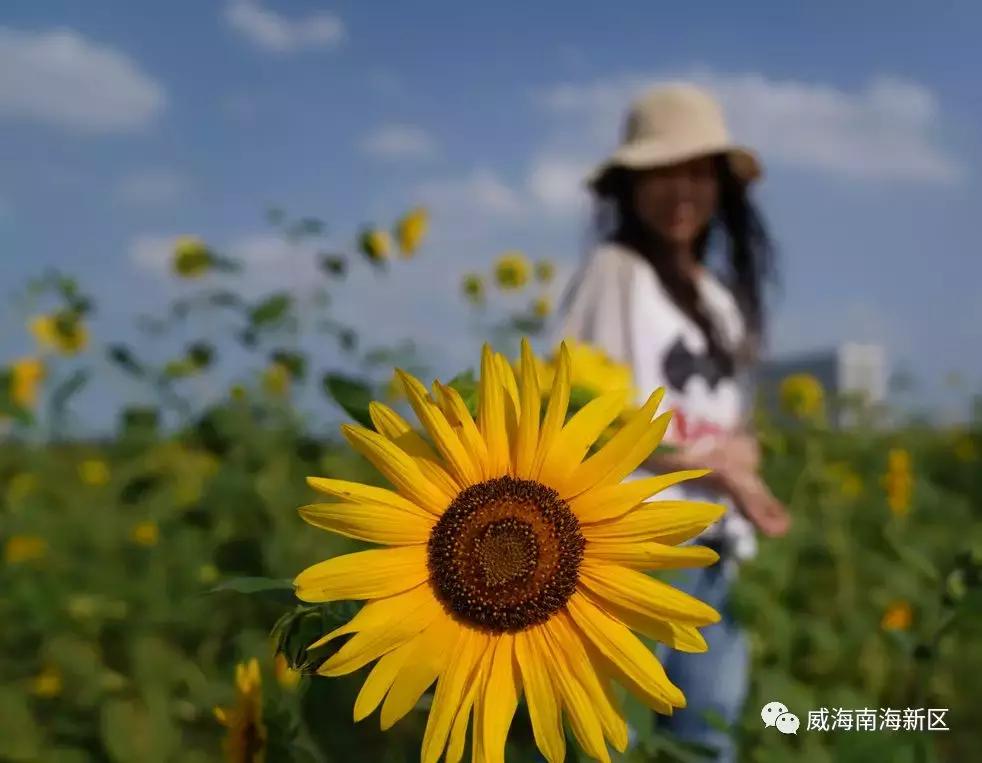 威海南海家园,威海南海新区最具幸福感城市