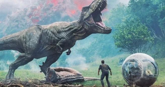 地球最大动物蓝鲸两百吨体重,地球最大的动物是什么动物