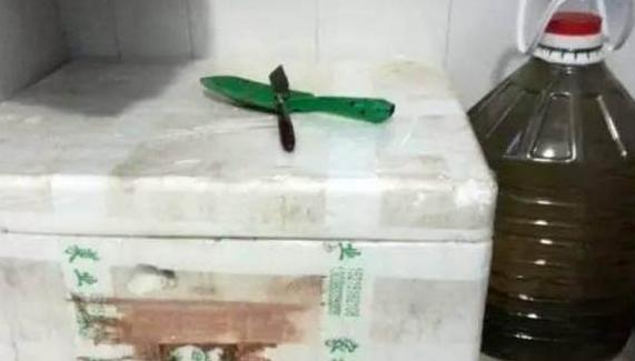 室内养花种菜工具箱,用泡沫箱可以做厨余垃圾堆肥水吗