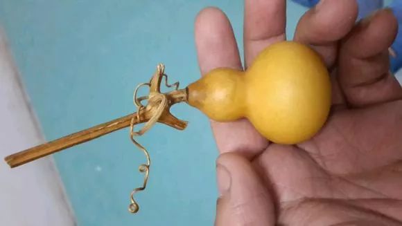 葫芦花皮还能盘出来吗,文玩葫芦花皮是怎么回事