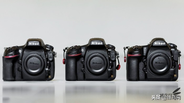 尼康的变革,尼康信仰