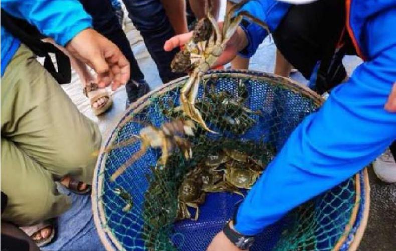 阳澄湖大闸蟹蟹卡还有最后几份,阳澄湖大闸蟹蟹卡模式