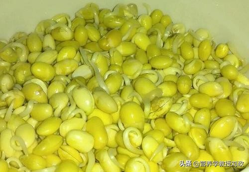 谷雨时节吃黄豆芽的好处,春季多吃黄豆芽