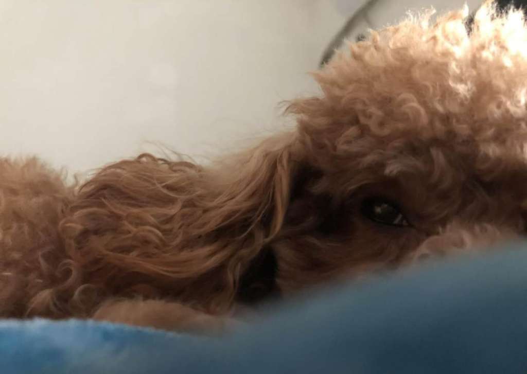 五一抽大奖活动,五一礼包抽奖