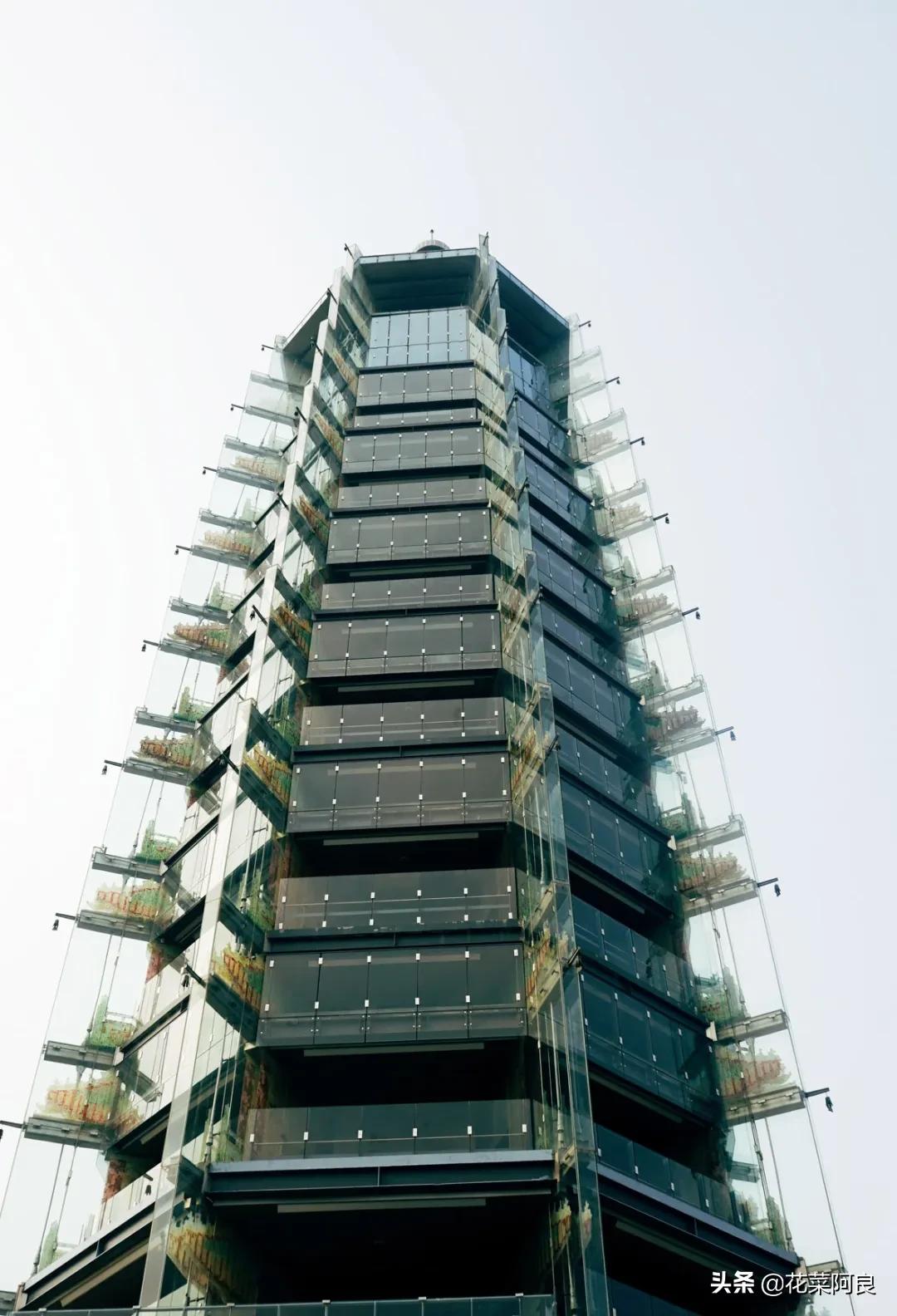 大报恩寺地宫发掘到了舍利子,南京大报恩塔舍利子文物