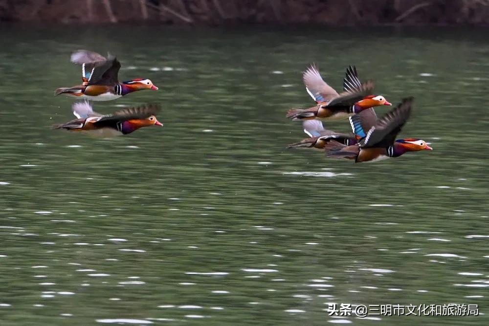 嗨！重新认识一下，我叫建宁！进来为我投票吧！